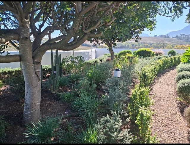 10HA FARM FOR SALE IN STELLENBOSCH FARMS